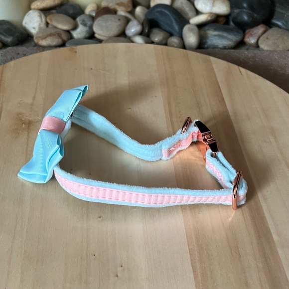 Petzc Dog Collar - Picture 3 of 5